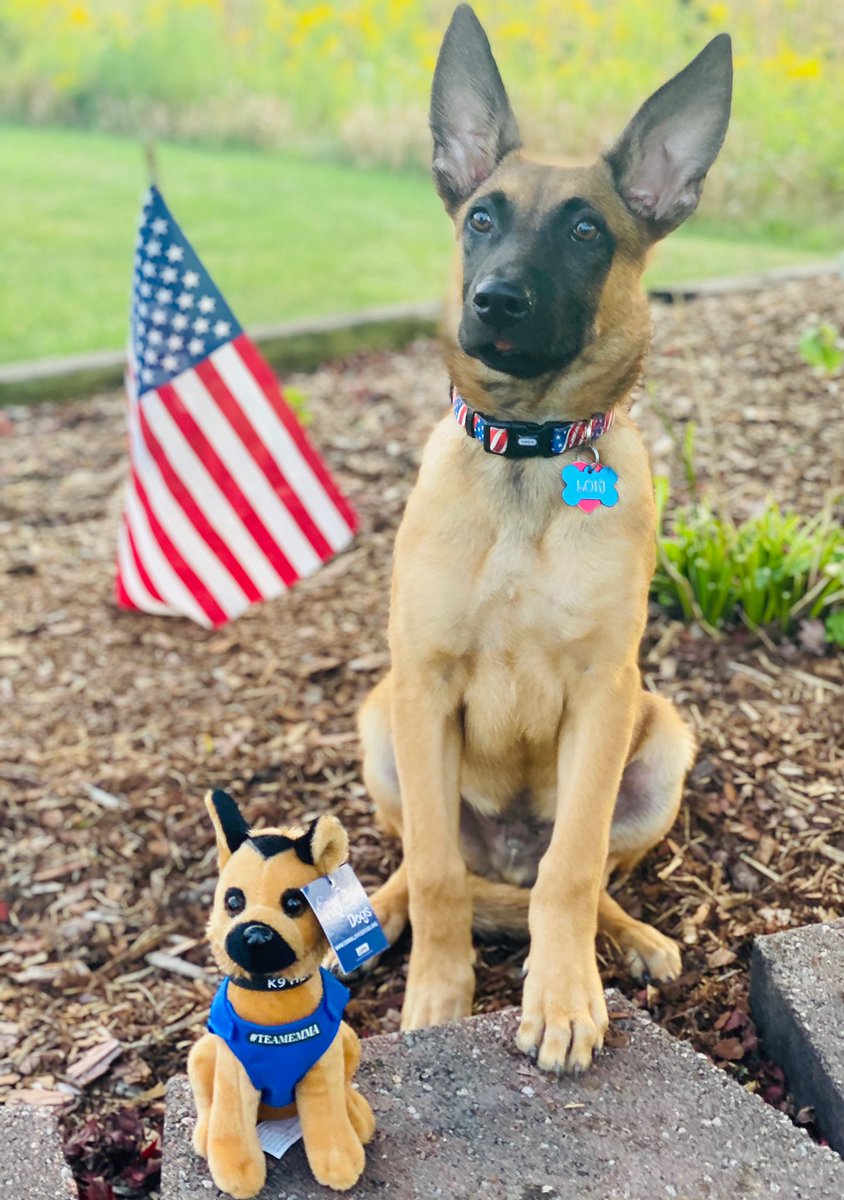 Emma Loves Dogs Foundation tweet media