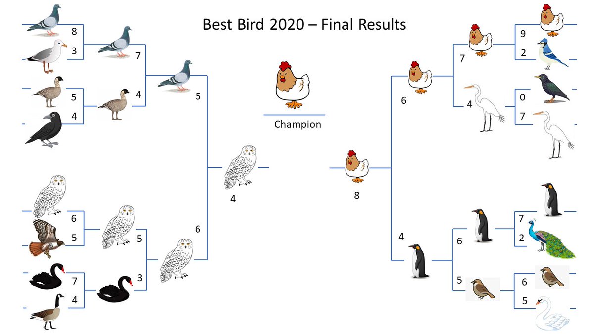 envchemjen's tweet photo. Surprising very few of the avid #bestbirdbracket followers, the humble chicken has emerged victorious in this summer's competition. But given how much we learned about birds and ourselves from sharing trivia and bird-related trash talk, I would say the real winners were usπ https://t.co/nFRTBwG9gr