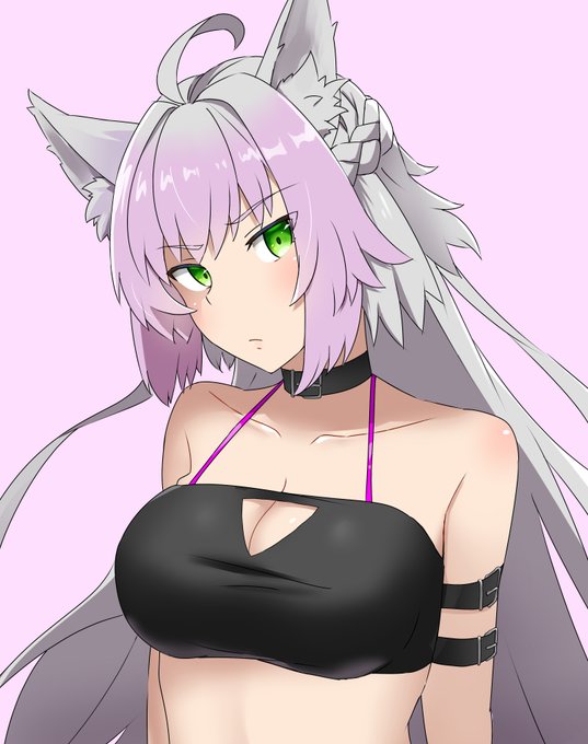 この前描いたアタランテオルタ上げときます 