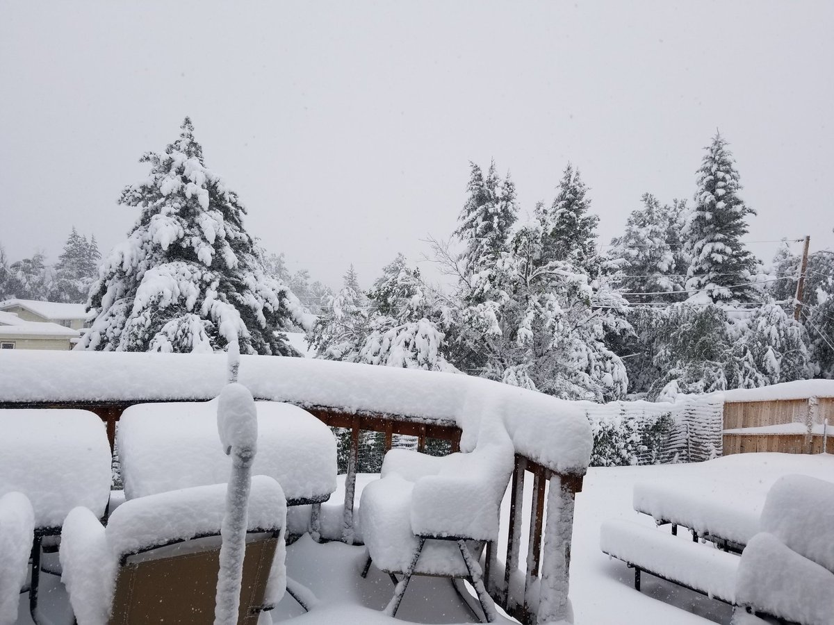 Dethnutz tweet media