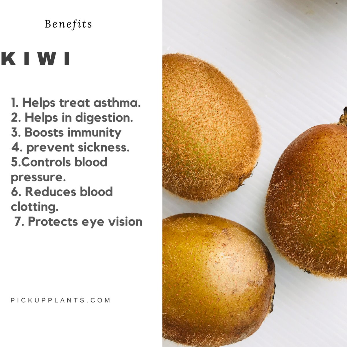 Health benefits of kiwi🥝 

#raw #rawfood #food #organic #nutrition #pickupplants #pickupplants #veggies #vegan #vegangirl #plantbaseddiet #breakfast #kiwi #satyfit #whatveganseat #proteinfoods #salad #Tuesday #healthbenifits #digestion #immunityboost