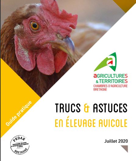#Aviculture : le guide "trucs et astuces en élevage avicole"  : des informations utiles pour faciliter les conditions de travail en élevage. Retrouver sur le site : chambres-agriculture-bretagne.fr/synagri/travai…