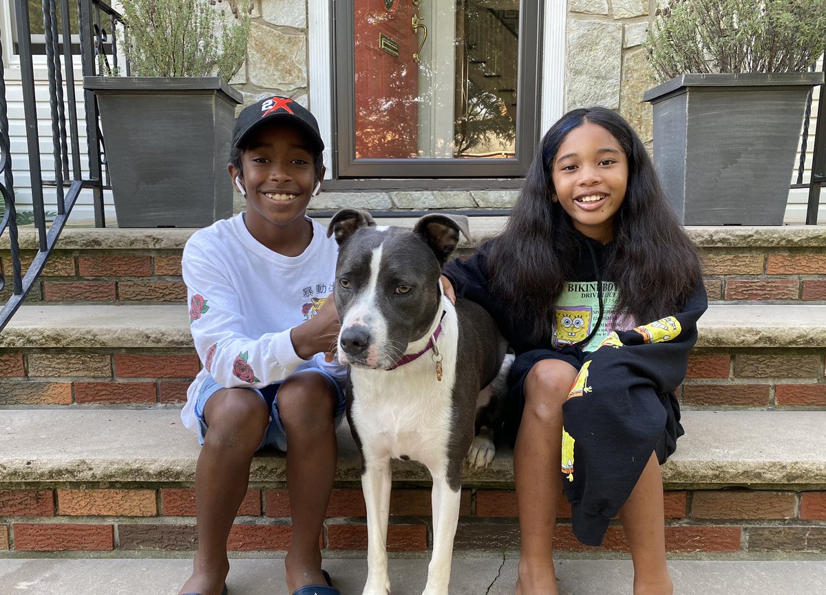 GrayRizzy's tweet photo. Back at it! 
*Virtually...we feel like IT already! 😫*
#YoungCee #Chubbs + #Lulu 🐕 
#firstdayofschool2020 https://t.co/AB1NmV8UFM