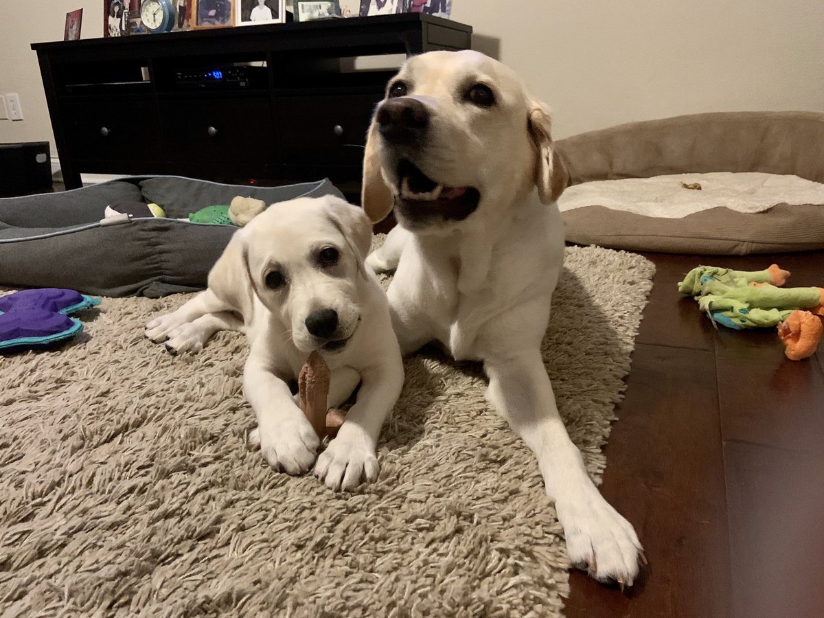 She just takes what she wants. At least she’s not chewing on me.