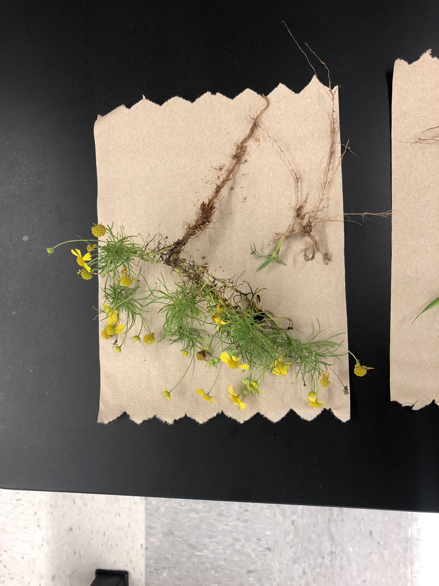 Kellie Weimer tweet media