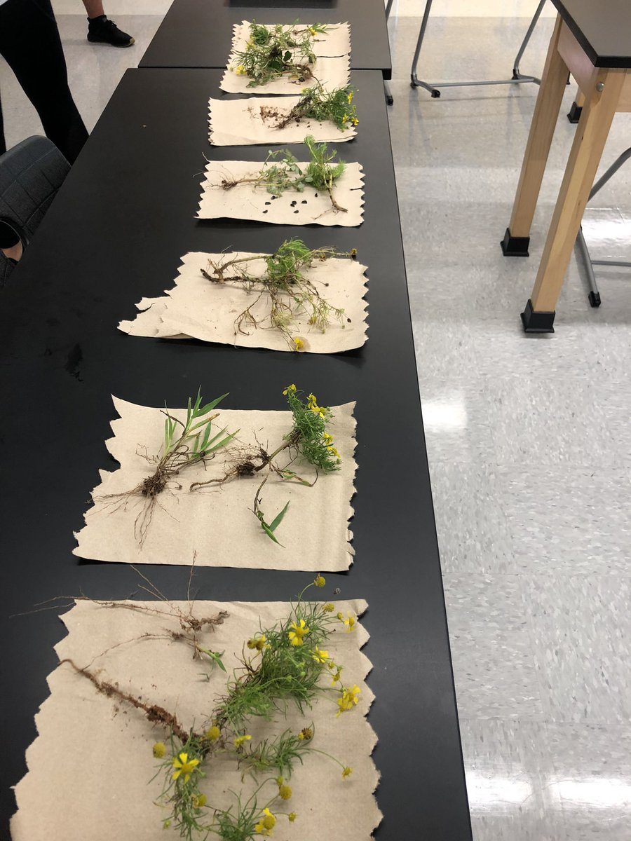 Kellie Weimer tweet media