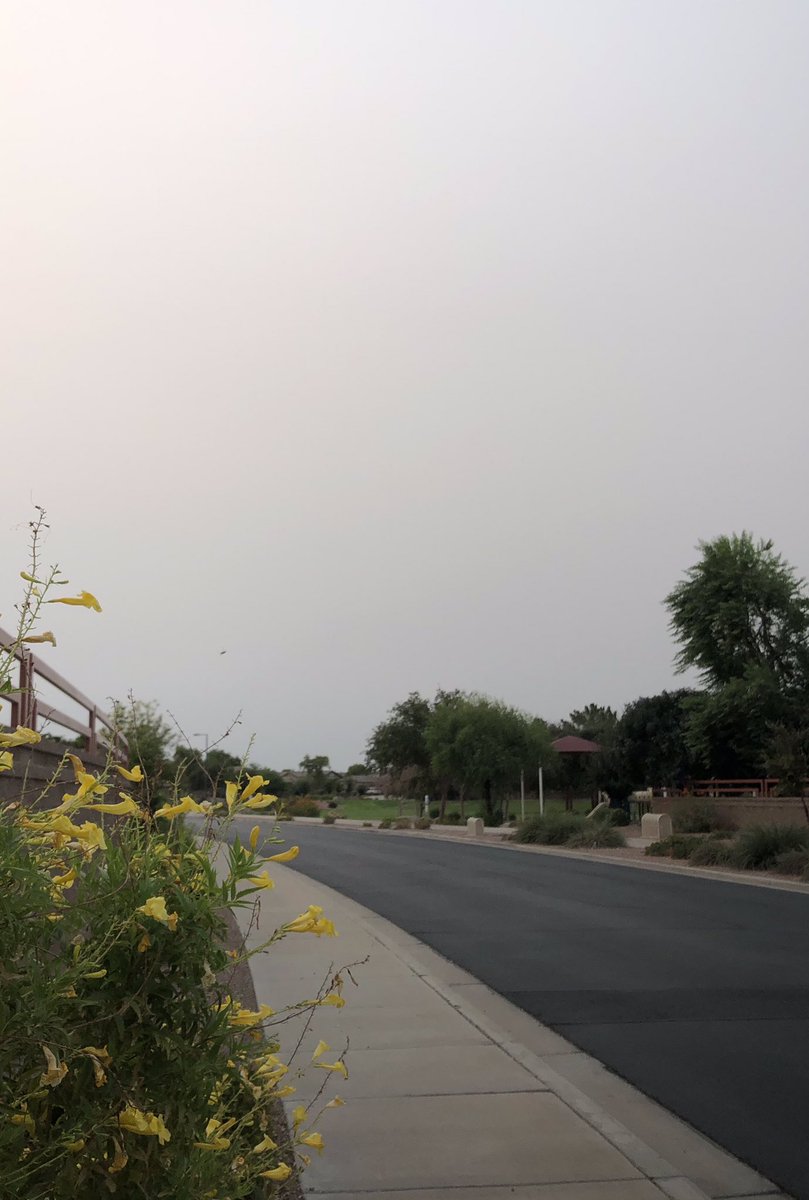 angiedisrunner's tweet photo. 7mile run today and the smoke from west coast fires have definitely made its presence known here in #Arizona #CaliforniaFires #wildfires #Disrunner https://t.co/8mZvp4TxRg