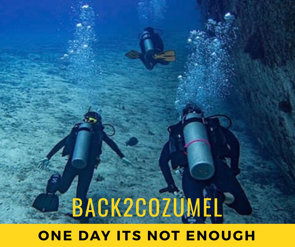 PubliportC's tweet photo. Sabemos que un día en Cozumel no es suficiente! #OneDayItsNotEnough #Back2Cozumel #IslaCozumel https://t.co/rE8M5VbGXc