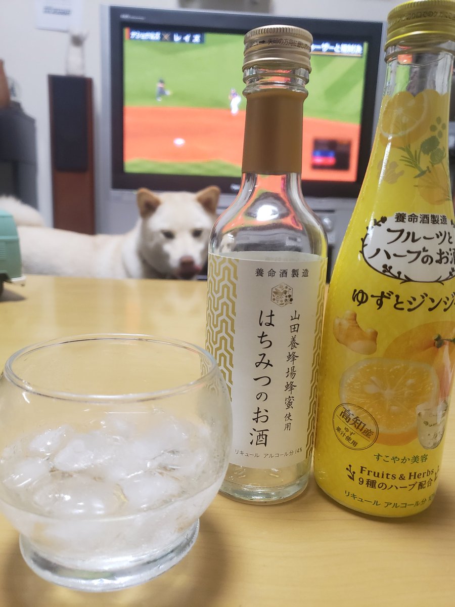 川崎ちあき きょうのいっぱい かわさきは酒を酒で割ることを覚えた お酒 カクテル 晩酌 養命酒 フルーツとハーブのお酒 ゆずとジンジャー はちみつのお酒 川崎ちあき きょうのいっぱい かわさきは酒を酒で割ることを覚えた お酒 カクテル 晩酌 養命酒 フルーツとハーブのお酒 ゆずとジンジャー はちみつのお酒