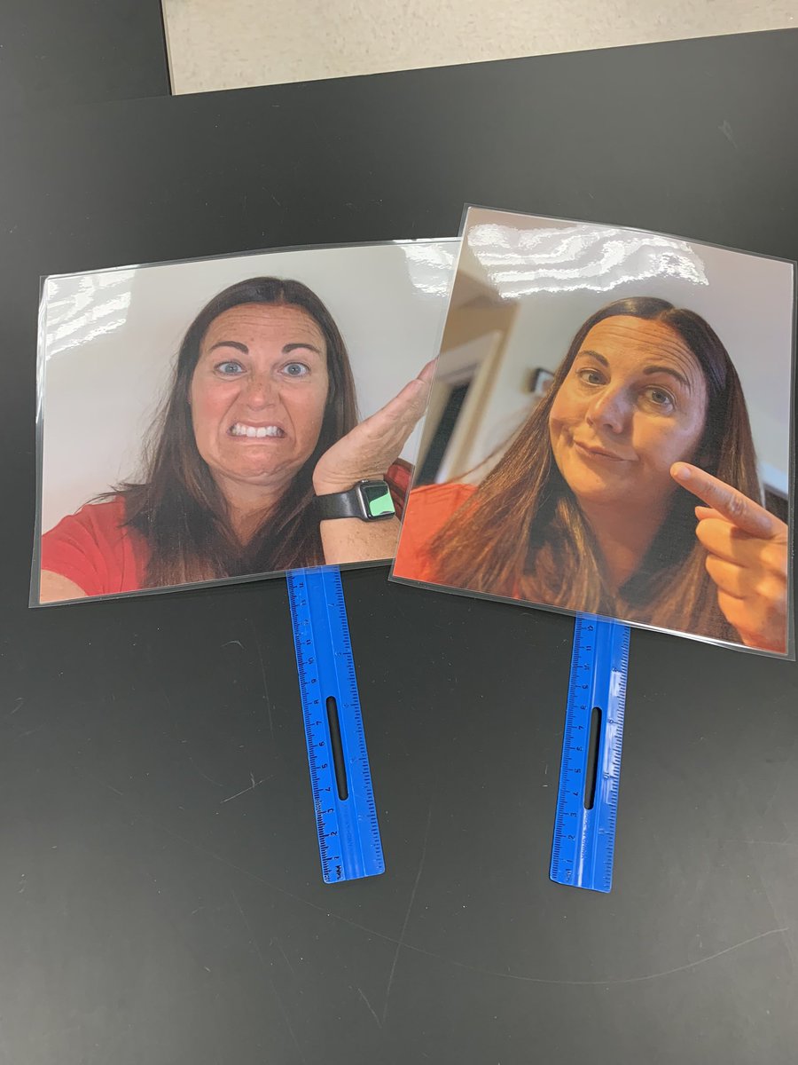 MrsGrulichLHS tweet media