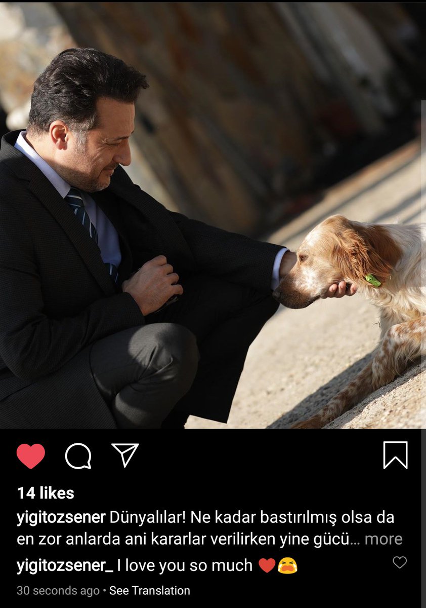 Yigit Ozşener 💘 (@Yigitozsener_) / Posts / X