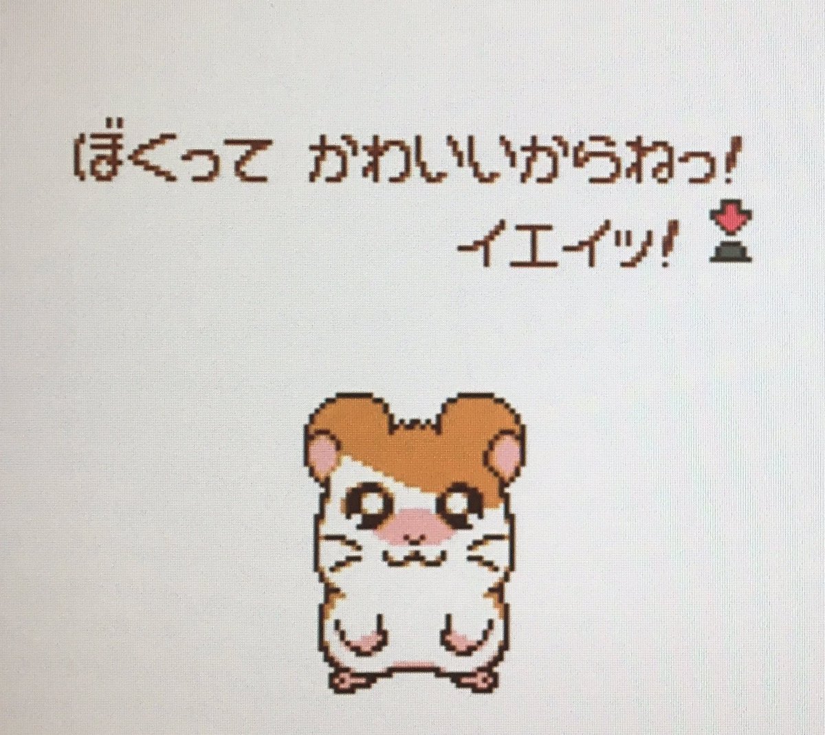ゲーム探偵団 En Twitter 本日はゲームボーイカラー とっとこハム太郎 ともだち大作戦でちゅ が発売されて周年です おめでとうございます ゲーム探偵団 En Twitter 本日はゲームボーイカラー とっとこハム太郎 ともだち大作戦でちゅ が発売されて周年です おめでとうございます