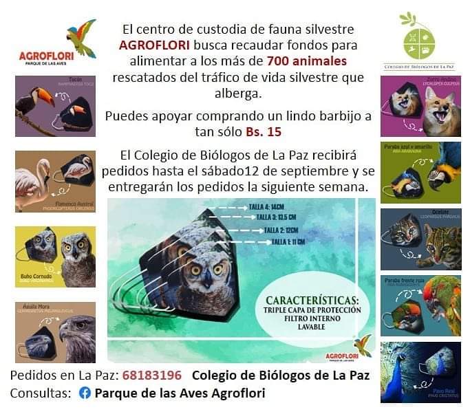 BoSolidaria's tweet photo. #LaPaz
El centro AGROFLORI acoge a cientos de animales rescatados. Hoy necesitan tu ayuda.

Para solventar los gastos de alimentación, están ofreciendo lindos barbijos a 15Bs 🦊🐯🦅🦉🦚🦜

Puedes hacer tu pedido al número 68183196.

Tu aporte los ayudará a seguir trabajando. https://t.co/vvzFg2j2Yz