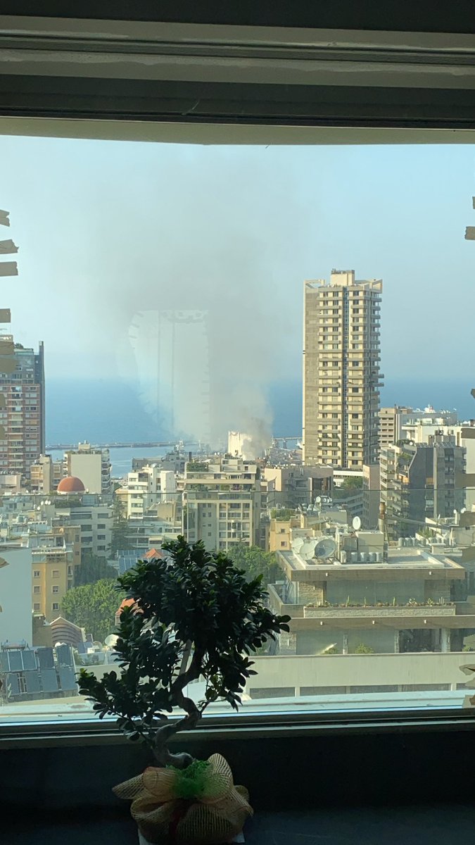 Yara Almously tweet media