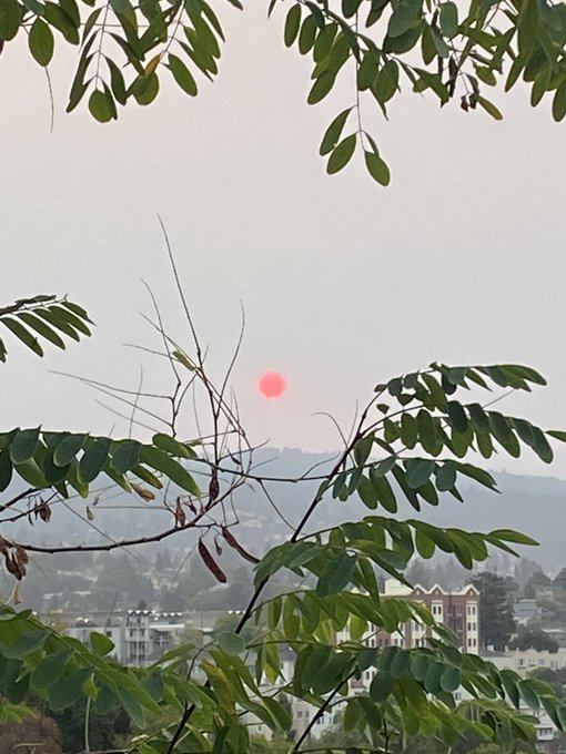 This iPhone photo doesn&rsquo;t do it justice... the sun is neon pink this morning. https://t.co/7FS2NBp4B<a href="/tag/pornstudies"class="tags"><span>#pornstudies</span></a>