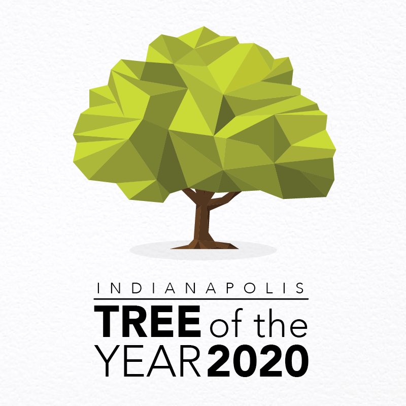 kibiorg's tweet photo. Nominations are in ➡️ time to vote for @IndyTreeOfYear on Facebook until September 18. https://t.co/DdePUQDyEe https://t.co/kdYPRCCny6