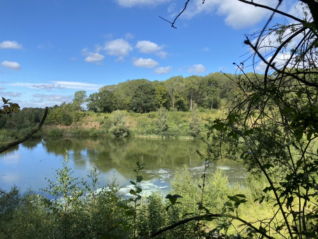 binkybunny7's tweet photo. Lovely 2.4 mile walk and chat with Anthea, pushing sleepy Felicity 👶🏼 round & trying to stop Poppy 🐶 from jumping in every single lake / stream / pond #WetDoggy #SelfCare #RytonPools #HappyTuesday 💗 https://t.co/q2inrJaFFO