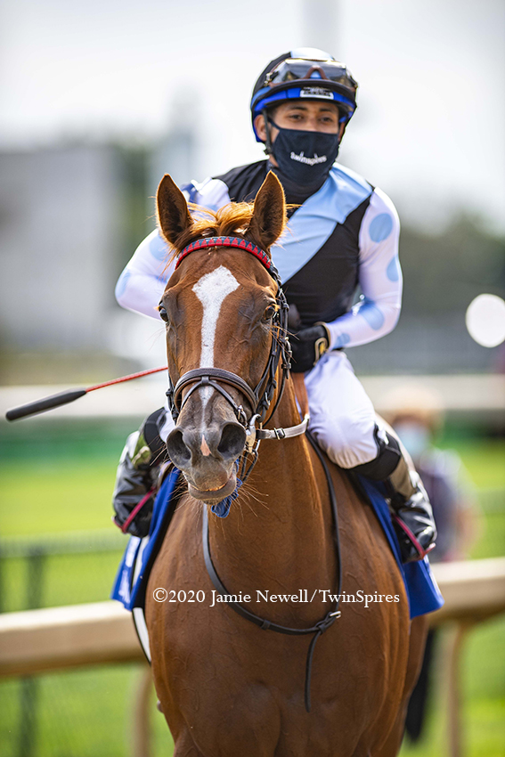 SHARING, with <a href="/jockeyfranco/">Manuel Franco 🏇🏽</a> up, winning the G2 Edgewood Stakes at <a href="/ChurchillDowns/">Churchill Downs</a> for trainer <a href="/GrahamMotion/">GrahamMotion</a> &amp; <a href="/Gainesway/">Gainesway</a> <a href="/EclipseTBP/">Eclipse Thoroughbred Partners</a>. First race back after a valiant 2nd place finish at Royal Ascot in the G1 Coronation Stakes.