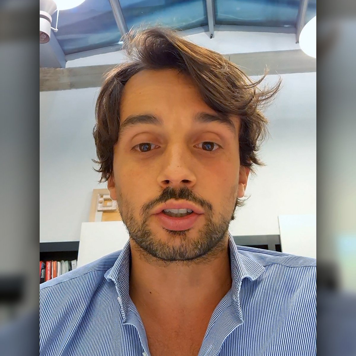 THE PLAN tweet media