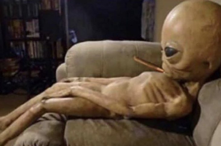 weednsnacks's tweet photo. Aliens watching Earth like “this season fire” 😂 https://t.co/1FxtcIRSn5