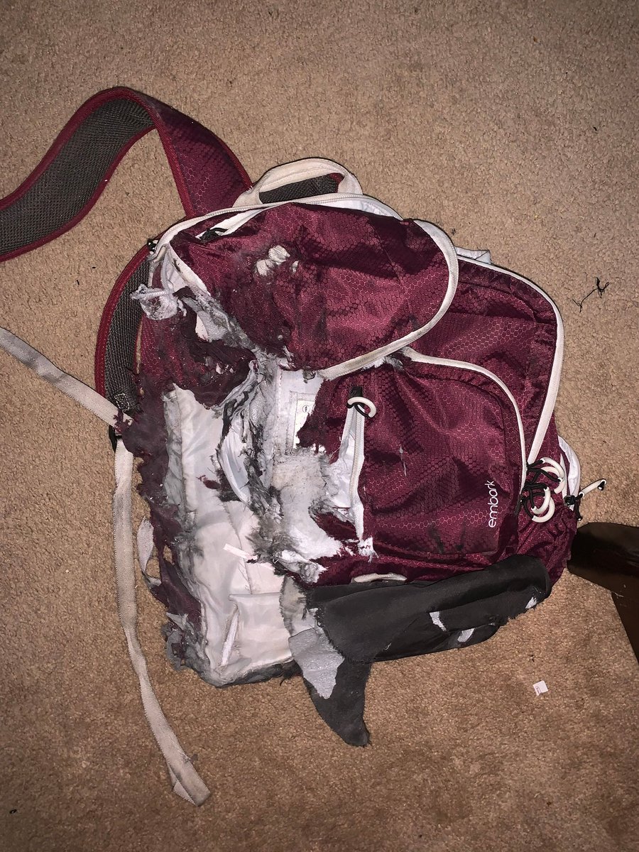 AneesahBray's tweet photo. @Delta do better by your customers. WTF happened and why are you saying you wont pay for this? https://t.co/ofKniH64xd