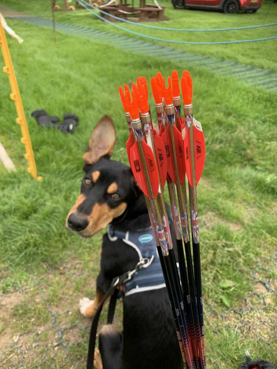 Owen is starting to get used to the idea that I have to train as often as possible #gooddog <a href="/archerygb/">Archery GB</a> <a href="/worldarchery/">World Archery</a> <a href="/arrowsocks/">ArrowSocks</a> <a href="/BeiterArchery/">Beiter</a> <a href="/bbbigeye/">Big Brother’s Big Eye</a> <a href="/Blesma/">Blesma</a> <a href="/H4H_SR/">H4H Sports Recovery</a> @TenzoneTargets <a href="/Bromakin/">BromakinWheelchairs</a> <a href="/PSEBows/">PSE Archery</a> <a href="/CarbonExpress/">Carbon Express</a> <a href="/RAnglians/">Royal Anglian Regiment Charity</a> <a href="/LAOFACUK/">LAOFAC</a>