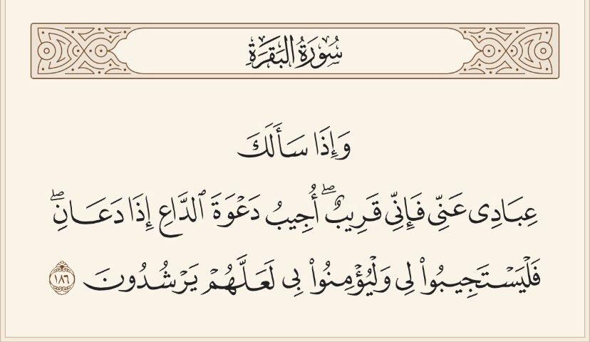 SAUD_ALMATHMI's tweet photo. https://t.co/LtMnrmvyII
