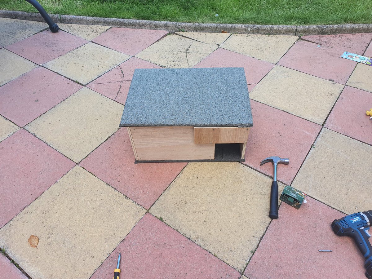 GeorgieConserv2's tweet photo. This has been the most difficult thing I've ever done. But one hedgehog house made! @HedgehogCabin https://t.co/xSUO6Eapfx