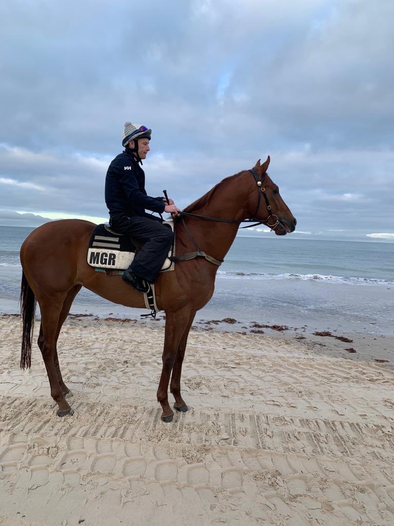 DalasanOfficial's tweet photo. #Maybemakybediva Looking ahead to cracking that elusive Group 1 this weekend!🐎💨@MacdonaldRacing @SAbreeders @millparkstud @FlemingtonVRC @Racing https://t.co/SIpldQiqte