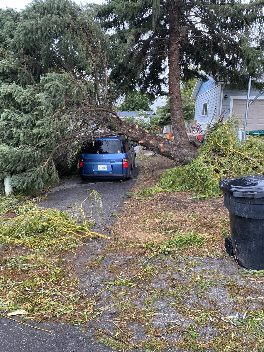 DougHoffman3's tweet image. A very small sample-size of what the wind damage is in Hyde Park, Utah.
#utwx
#utwind
#nofun