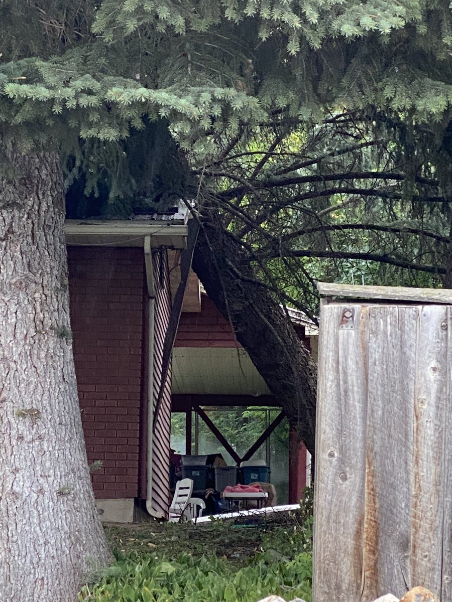 DougHoffman3's tweet image. A very small sample-size of what the wind damage is in Hyde Park, Utah.
#utwx
#utwind
#nofun
