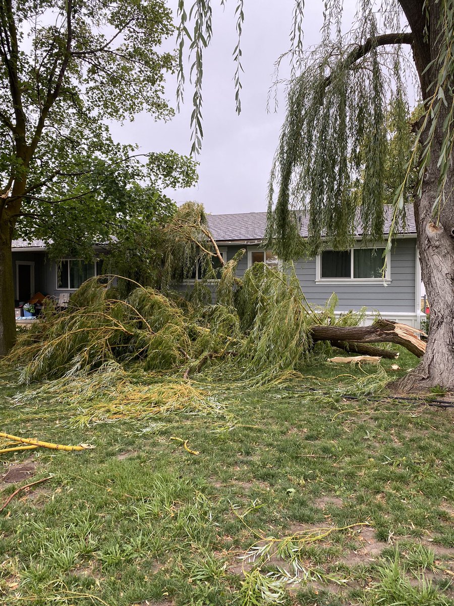 DougHoffman3's tweet image. A very small sample-size of what the wind damage is in Hyde Park, Utah.
#utwx
#utwind
#nofun