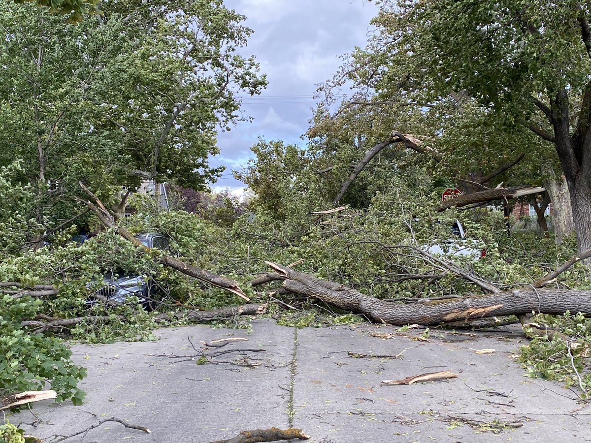 AmieeMaxwell's tweet image. No way out 🙄 #utwx #utwind