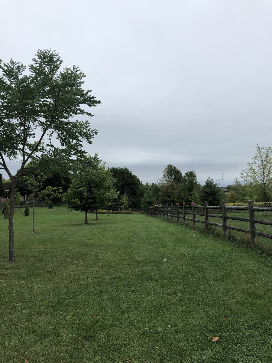 Restiani Andriati tweet media