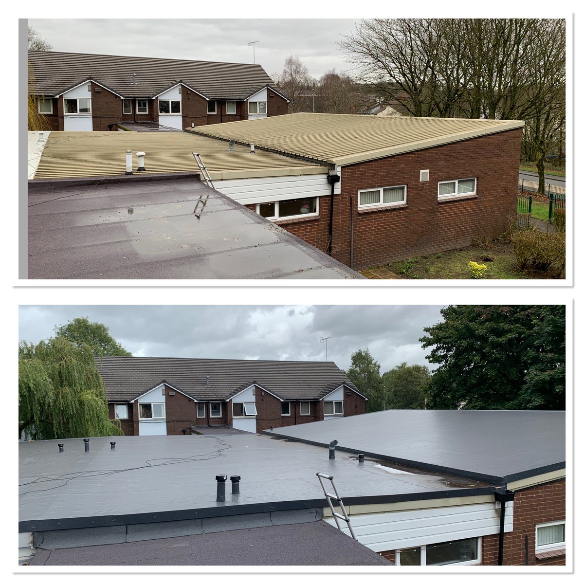 Phil Rowland tweet media