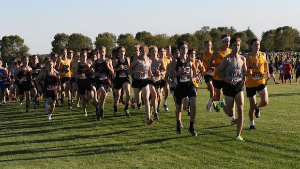 Photo Gallery: Bob Brown Classic ia.milesplit.com/photos/albums/…