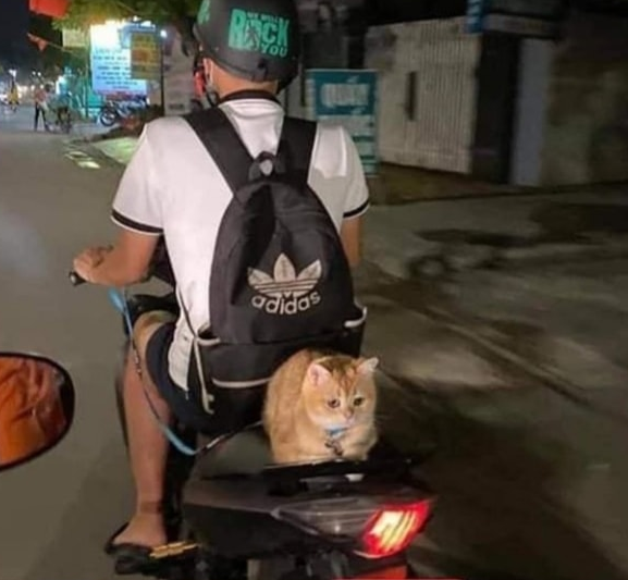 ` . ♡ มัมหมีน้องรูล ·° tweet media