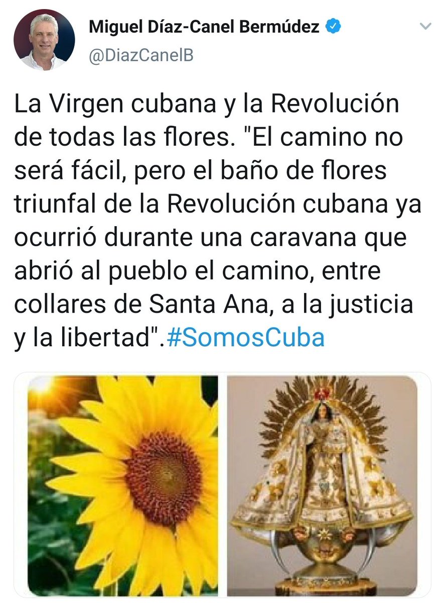 manolo_burumba's tweet photo. Cuando la revolución dice a manipular, dan rienda suelta a su imaginación. Toda una campaña para contrarrestar su alergia a los girasoles 🤭😂🤣🤣 https://t.co/9NERuzTPP3