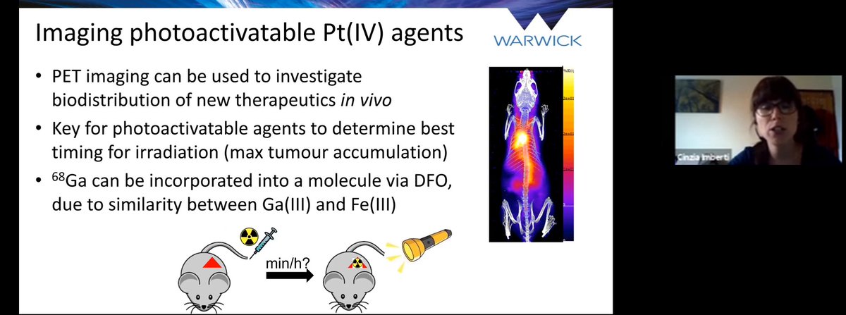AEBIN5's tweet photo. @ImbertiCinzia from @warwickchem describing a DFO-containing photoactivatable platinum(IV) complex able to chelate radiometals 

#photochem2020 of @AEBIN5 https://t.co/49f5R4G97u