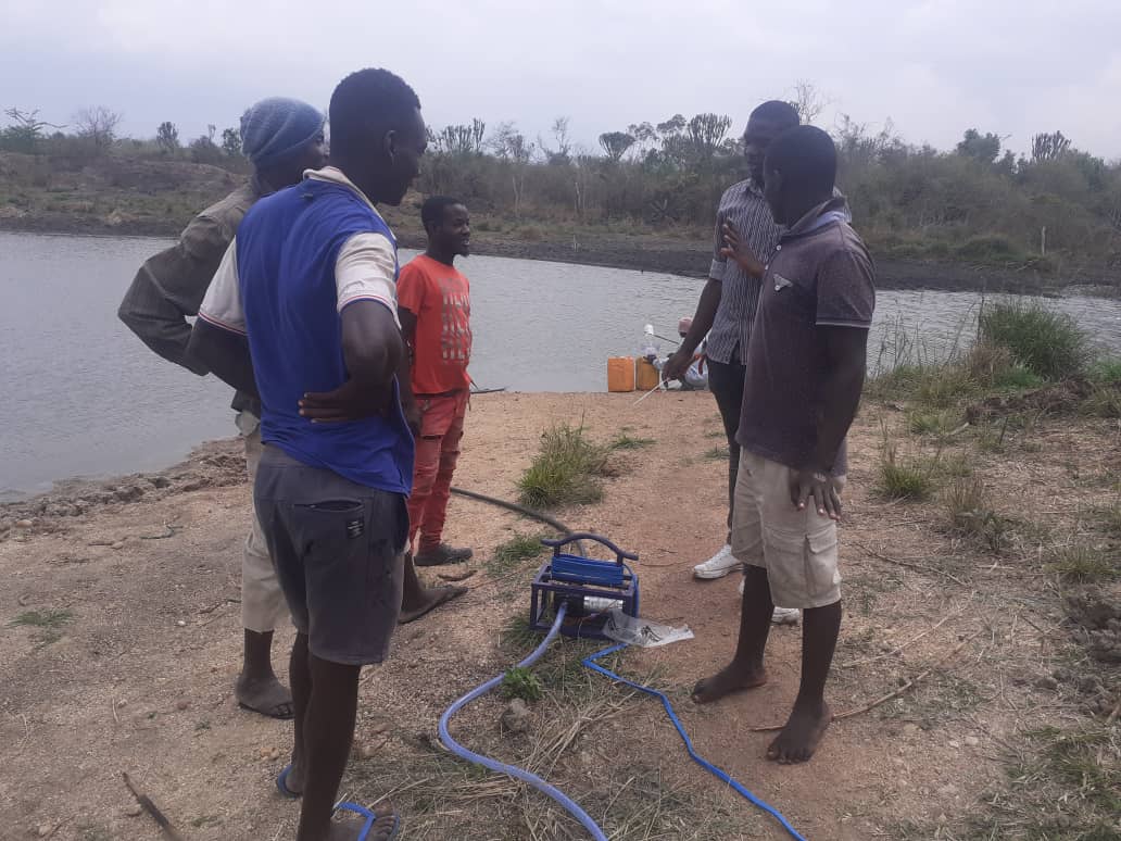 Simusolar tweet media