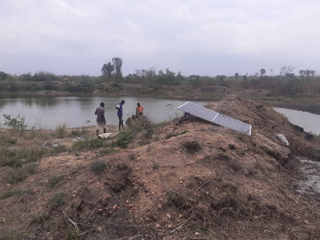 Simusolar tweet media