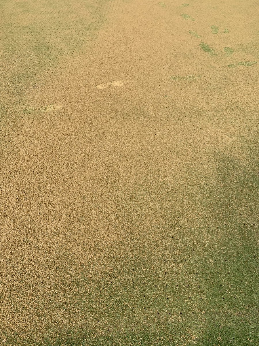 St Neots Golf Club tweet media