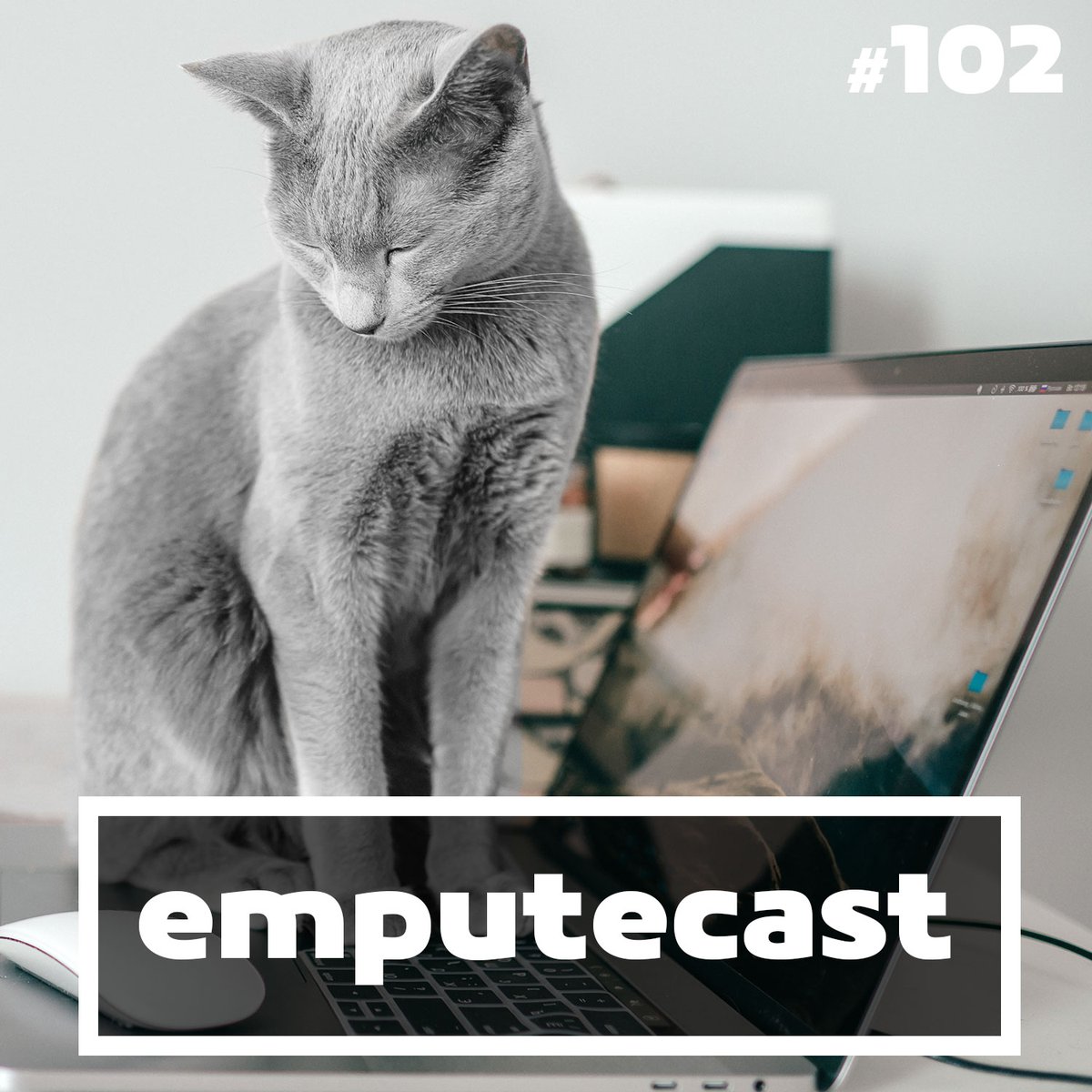 emputecast's tweet photo. Seu gato sobe no teclado do seu pc? Seu gato cai de costas? O que você acha da geração atual de processadores AMD Ryzen? Vem com a gente no papo mais aleatório possível.
Spotify: https://t.co/WhXqXD8JnN
Site: https://t.co/YWRLKb7MBh
#Emputecast #Cats #Ryzen https://t.co/ZvvJmWlLOm