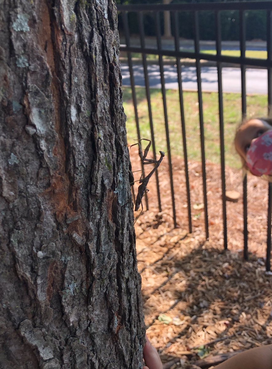 Cheryl Bruno tweet media