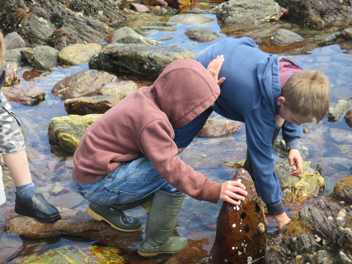 pstt_whyhow's tweet photo. Want a resource which helps #primarychildren discover and understand #STEM concepts? Let's Go! STEM Trails. It includes 29 Trails using the outdoor environment as a stimulus!

Purchase your copy at the discounted price of just £9.99, here: https://t.co/816EKKOvJq https://t.co/EMSWZBnDjo