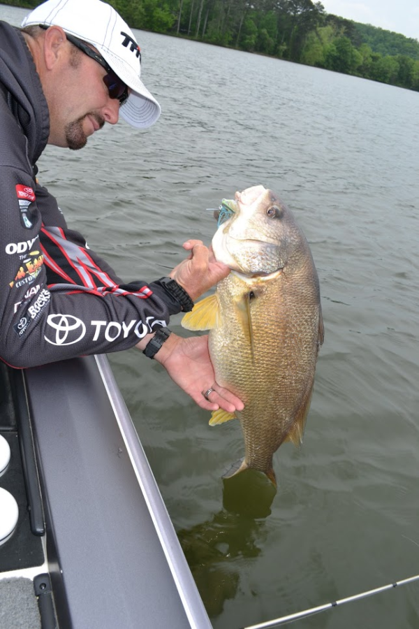 The Outdoor Wire tweet media