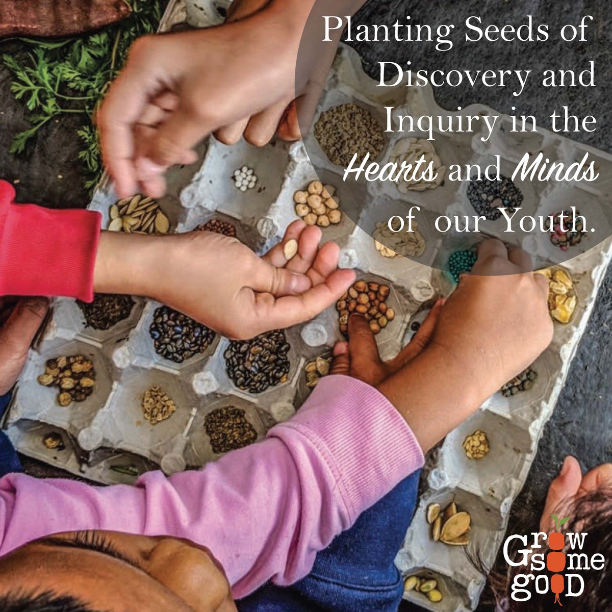 GSGMaui's tweet photo. Please support our students’ education and island community here: https://t.co/B7Q3XaHgaL

Send check or cash to:
Grow Some Good
1215 S. Kihei Rd. Suite O, #1047
Kihei HI 96753

Our goal is to raise🌱$15,000🌱 

Learn more here: https://t.co/1gKuhv5z9f

Please share this post💚 https://t.co/yG8FIH5F0O