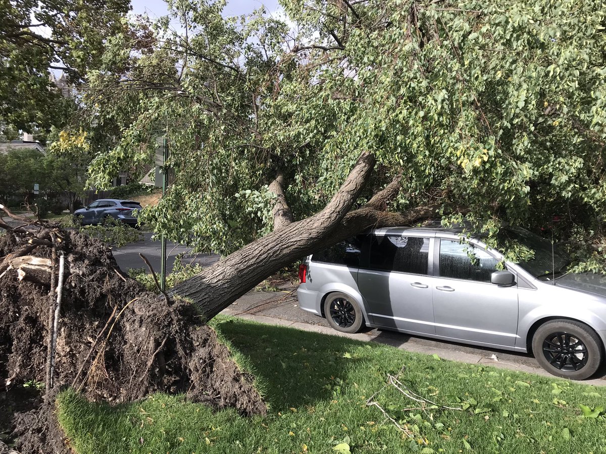 I just talked to Rich Garner. He’s actually on vacation here from Pennsylvania. When he woke up, he found his rental car smashed under a fallen tree.