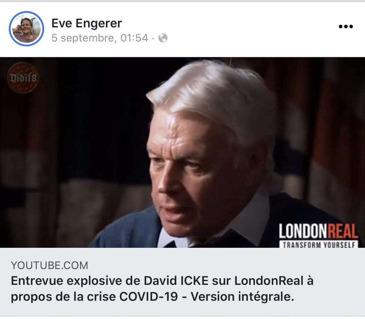 Tout complotiste confirmé se doit d’apprécier David Icke. Celui qui a popularisé l’idée que Clinton et plein d’autres sont des reptiliens.