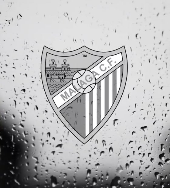 Ini terlalu high risk untuk sesebuah kelab bola sepak. FC Malaga merupakan satu contoh kelab yang menderita apabila investor dah tak minat nak invest secara mengejut. 